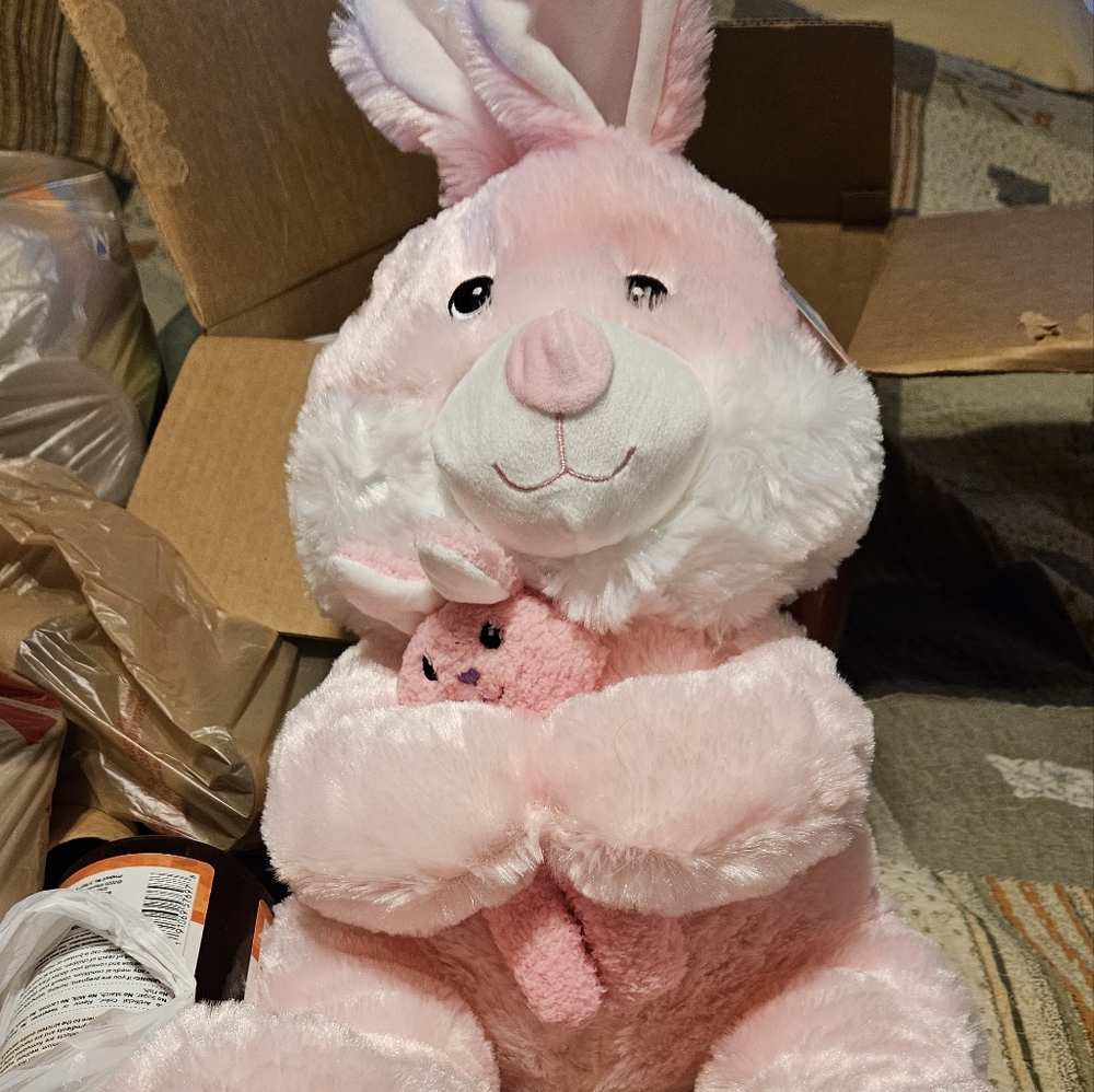 ❤️🎊Host Pick 🎊❤️ huggable Plush pink and white rabbit with a baby rabbit